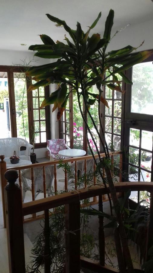 Villa Nena ヘルソニソス エクステリア 写真